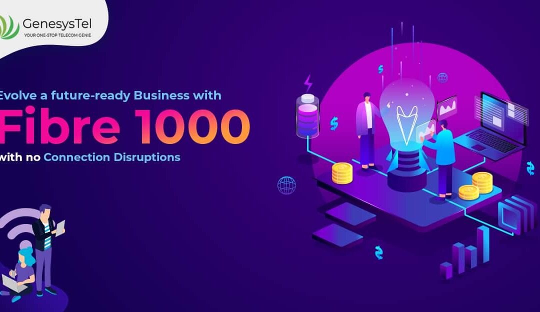 5 Things you need when looking for Fibre 1000